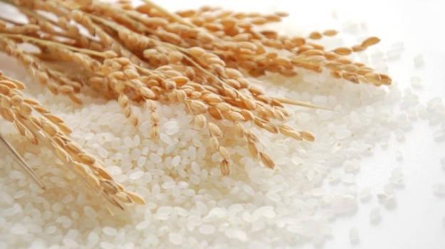 13 Bí Quyết Vàng Giúp Phân Biệt Thực Phẩm Sạch Và Hàng Kém Chất Lượng