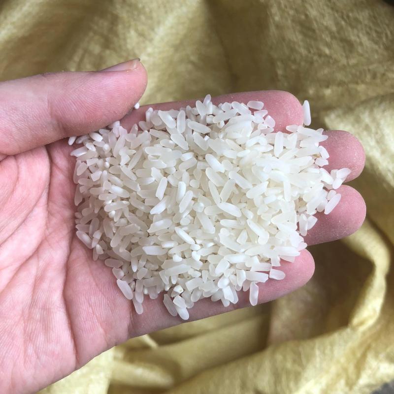 5 địa chỉ vàng cung cấp gạo ngon chuẩn vị tại Lào Cai