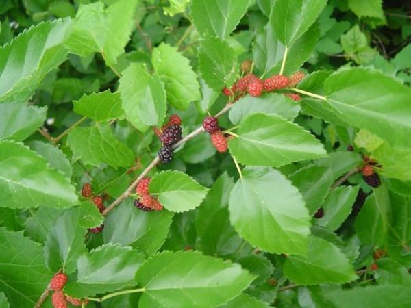 10 Phương Pháp Đánh Bay Mồ Hôi Tay Hiệu Quả Nhất