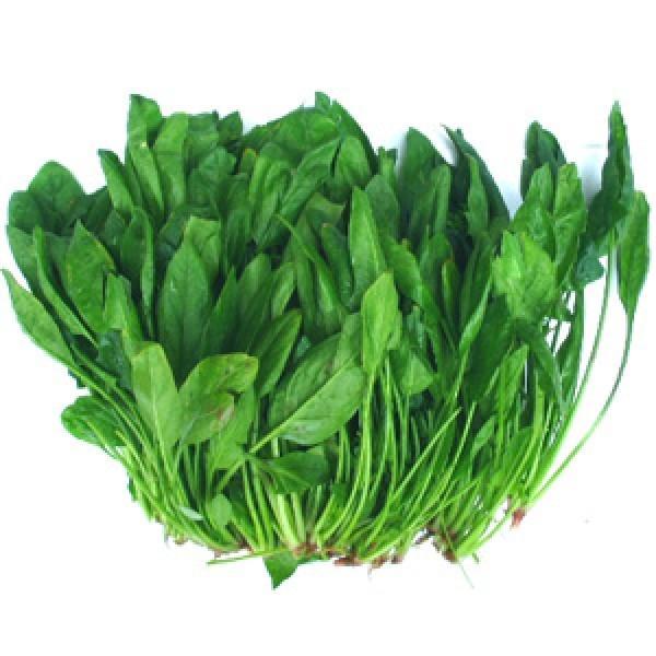 12 Thực Phẩm Vàng Đánh Bay Bệnh Gout Hiệu Quả Bất Ngờ