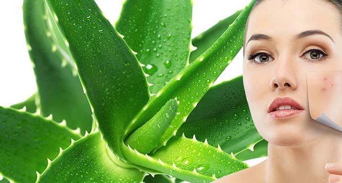 10 tuyệt chiêu đánh bay mụn và thâm nám từ nguyên liệu thiên nhiên hiệu nghiệm nhất