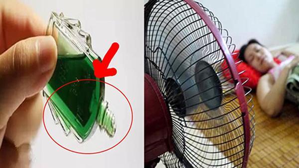 10 Bí quyết đuổi và diệt muỗi tại nhà hiệu quả - Phòng chống sốt xuất huyết an toàn