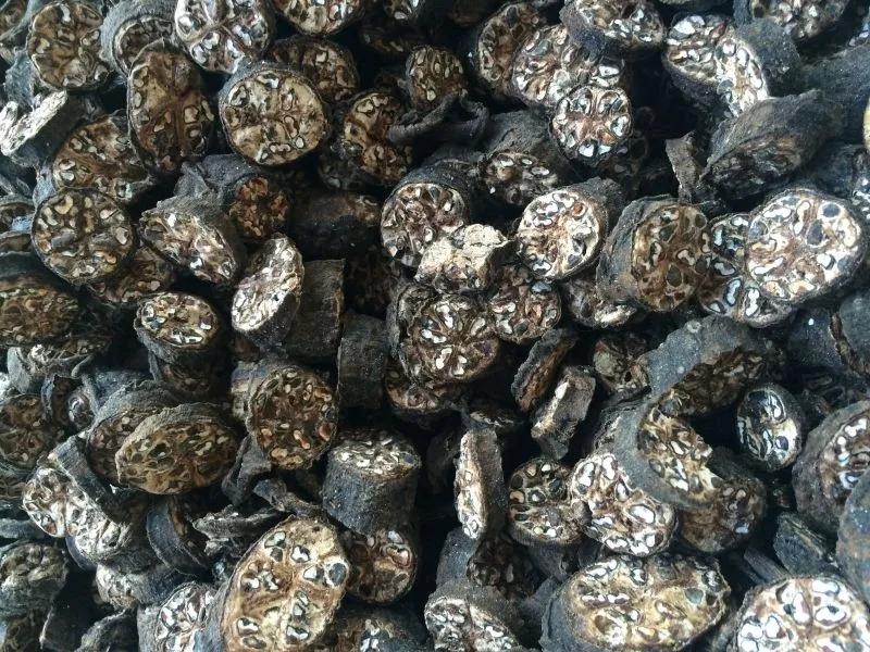 11 Bài Thuốc Dân Gian Đẩy Lùi Cơn Đau Dạ Dày Hiệu Quả