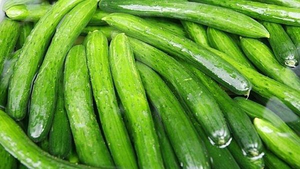 15 công dụng đáng kinh ngạc của dưa chuột - Bí quyết sức khỏe không phải ai cũng biết