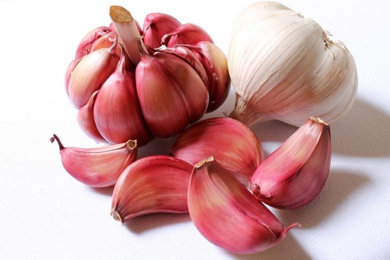 9 Phương Pháp Đánh Bay Lang Ben Tự Nhiên Hiệu Quả