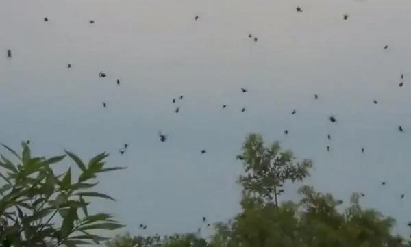 10 hiện tượng thiên nhiên kỳ lạ khiến giới khoa học bối rối