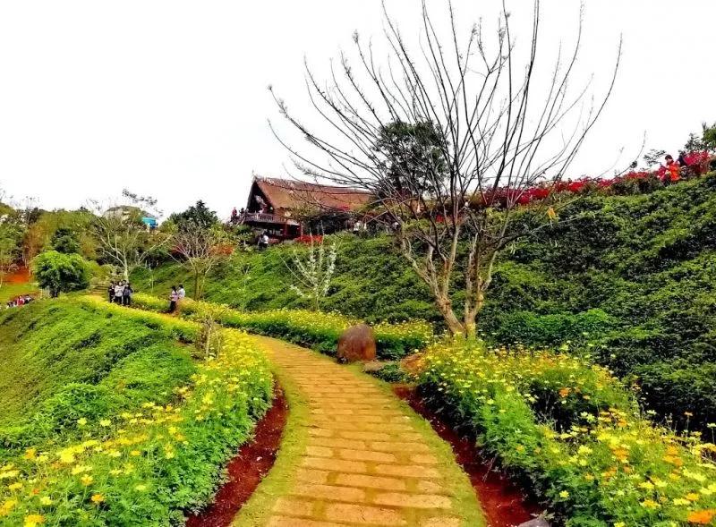 10 điểm đến đẹp ngỡ ngàng tại cao nguyên Đắk Lắk - Hành trình khám phá không thể lỡ