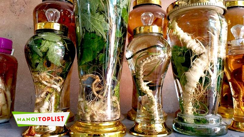 Top 10+ địa chỉ mua bình thủy tinh ngâm rượu chất lượng nhất Hà Nội