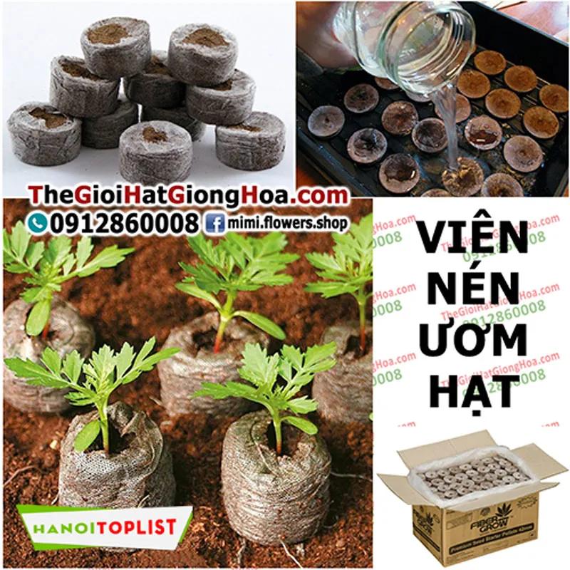 7 địa chỉ mua vật tư nông nghiệp chất lượng nhất Hà Nội