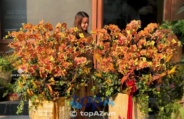 Top 5 địa chỉ mua hoa lan hồ điệp chất lượng nhất Q. Đống Đa - Giao tận nơi, uy tín vượt trội