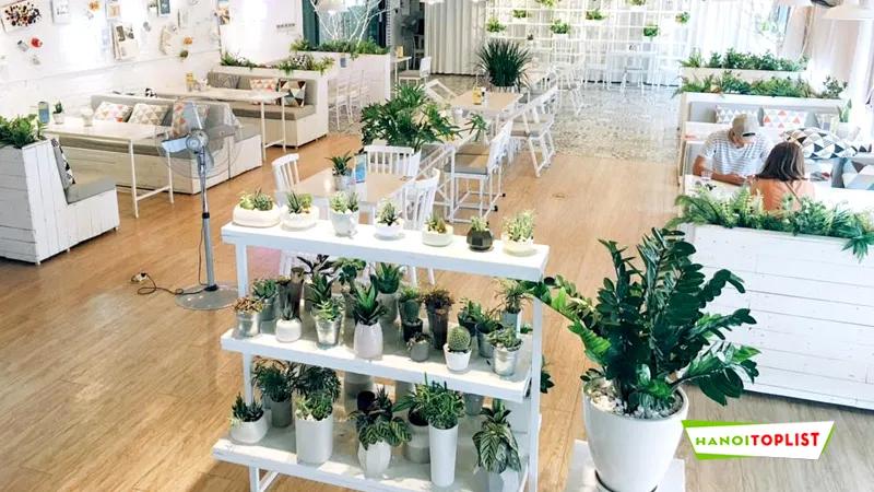 Top 10+ địa chỉ mua cây trang trí Hà Nội: Chất lượng, giá tốt, uy tín hàng đầu