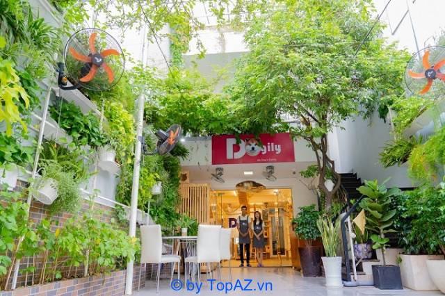 Top 5 địa điểm phối giống mèo đáng tin cậy nhất tại TP.HCM