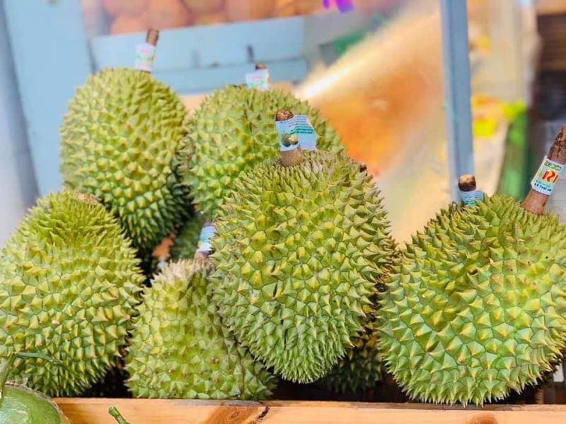 6 điểm đến lý tưởng cho trái cây sạch chuẩn an toàn tại Quảng Nam