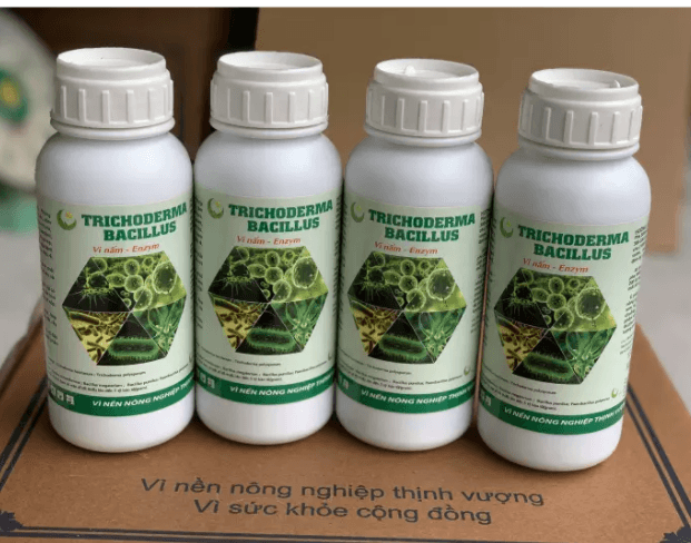 7 Loại Thuốc Trừ Nấm Hiệu Quả Nhất Cho Cây Trồng Hiện Nay