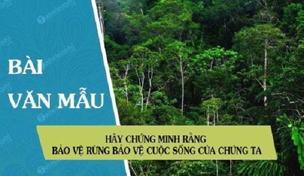 Top 20 Bài văn mẫu lớp 7 xuất sắc nhất chứng minh 'Bảo vệ rừng chính là bảo vệ sự sống'