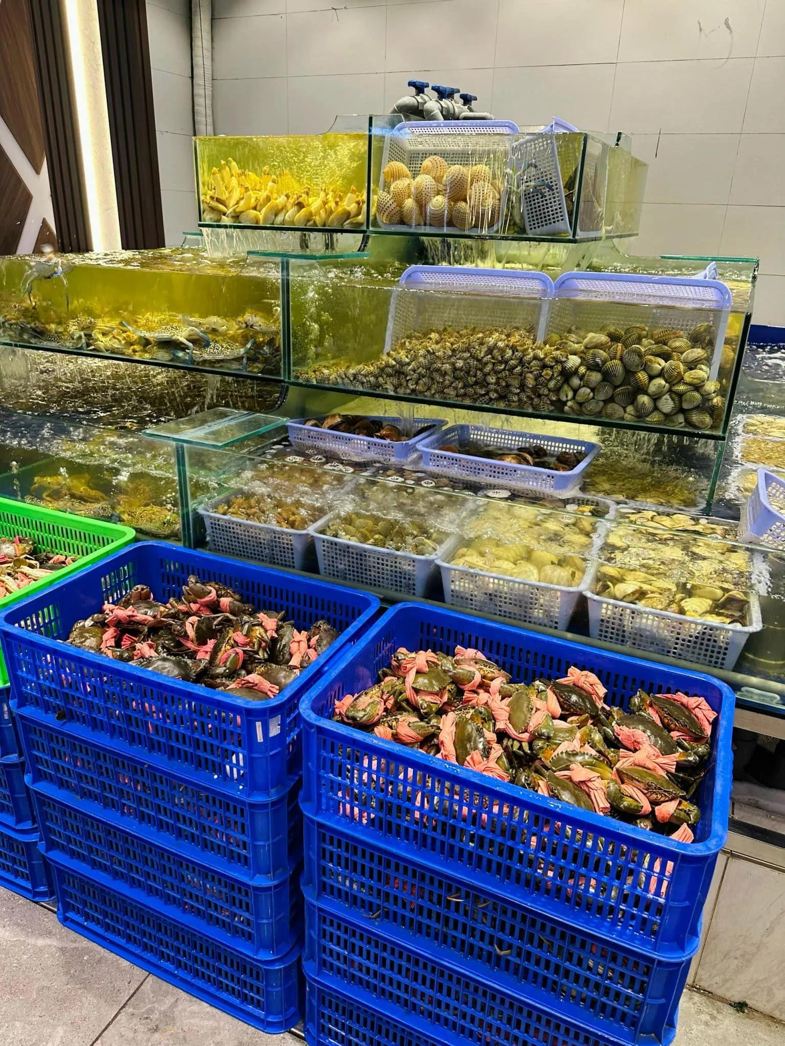Top 10 Đánh Giá Chân Thành Nhất Về Nhà Hàng Buffet Poseidon
