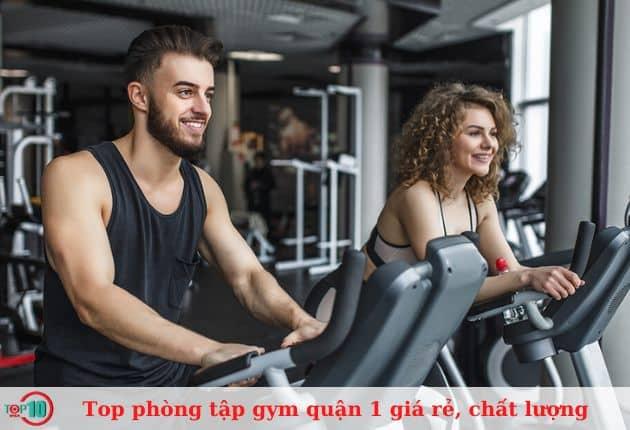 Top 12 phòng gym Quận 1: Chất lượng chuẩn, giá thành hợp lý, dịch vụ đỉnh cao