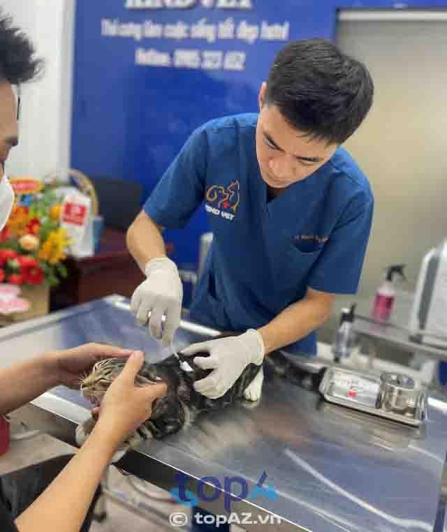Danh sách 5 phòng khám thú y tại Gò Vấp được đánh giá cao nhất về uy tín và chất lượng dịch vụ