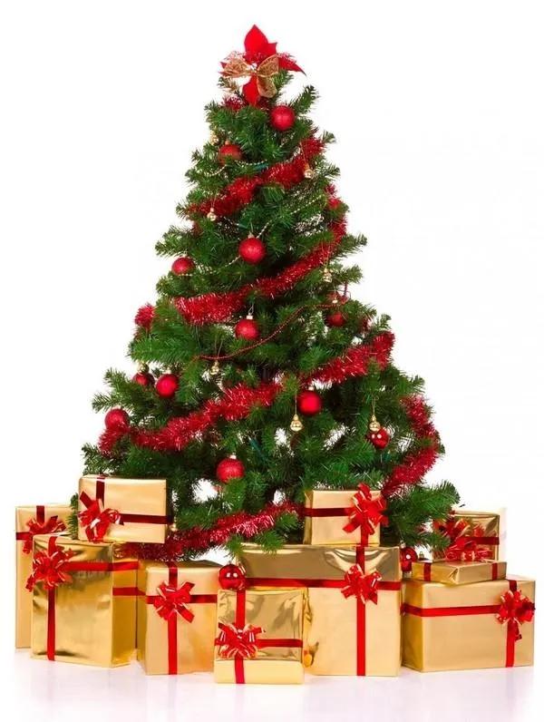 15 điều kỳ thú về Giáng sinh (Noel) có thể bạn chưa biết