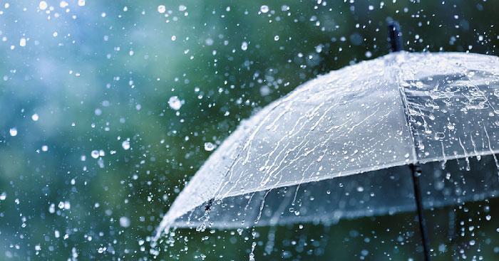 Top 12 bài phân tích và cảm nhận sâu sắc nhất về tác phẩm "Mưa xuân II" (Ngữ văn 8 - SGK Chân trời sáng tạo)