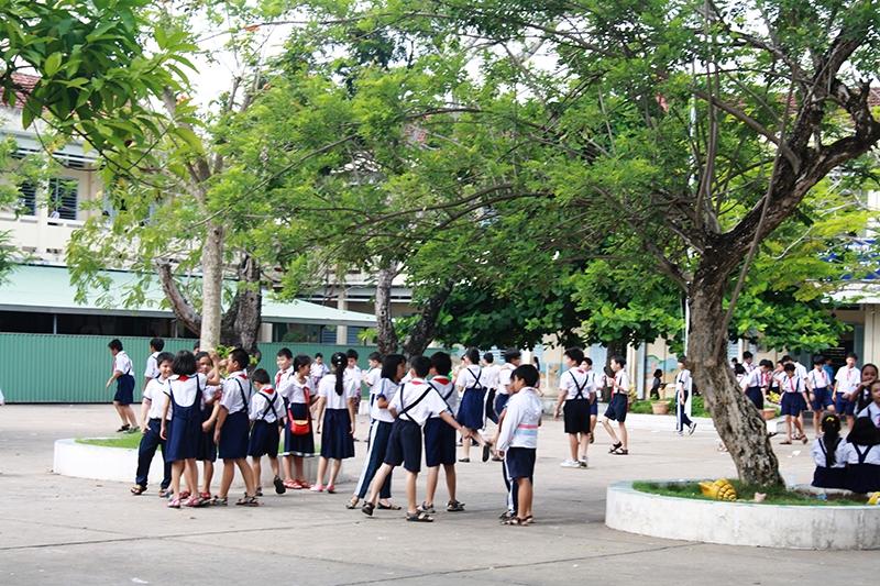 Khám phá 9 mẫu dàn ý sáng tạo cho bài văn tả cảnh lớp 5 chi tiết và đầy cảm xúc
