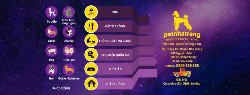 Top 5 Khách sạn thú cưng uy tín tại Nha Trang