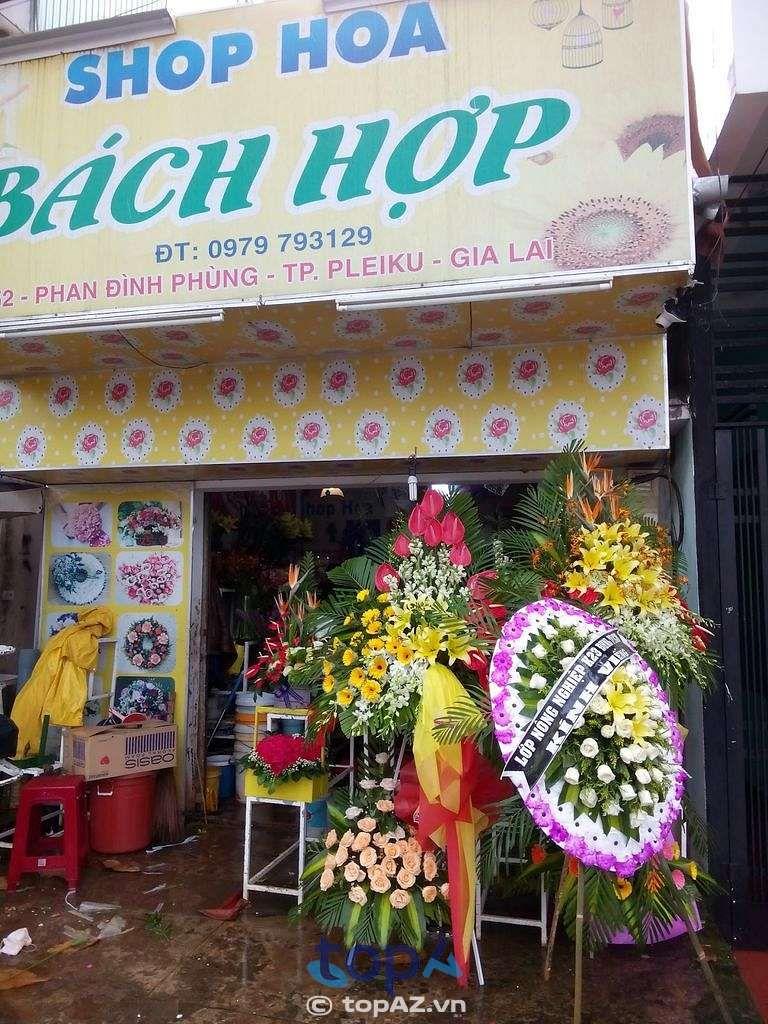 Top 5 cửa hàng hoa tươi tại TP. Pleiku với dịch vụ điện hoa chất lượng, giá cả hợp lý