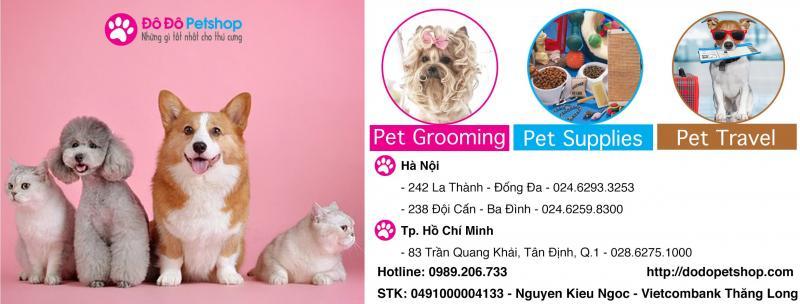 Top 7 địa chỉ mua phụ kiện và thức ăn chất lượng cho thú cưng tại quận Ba Đình, Hà Nội