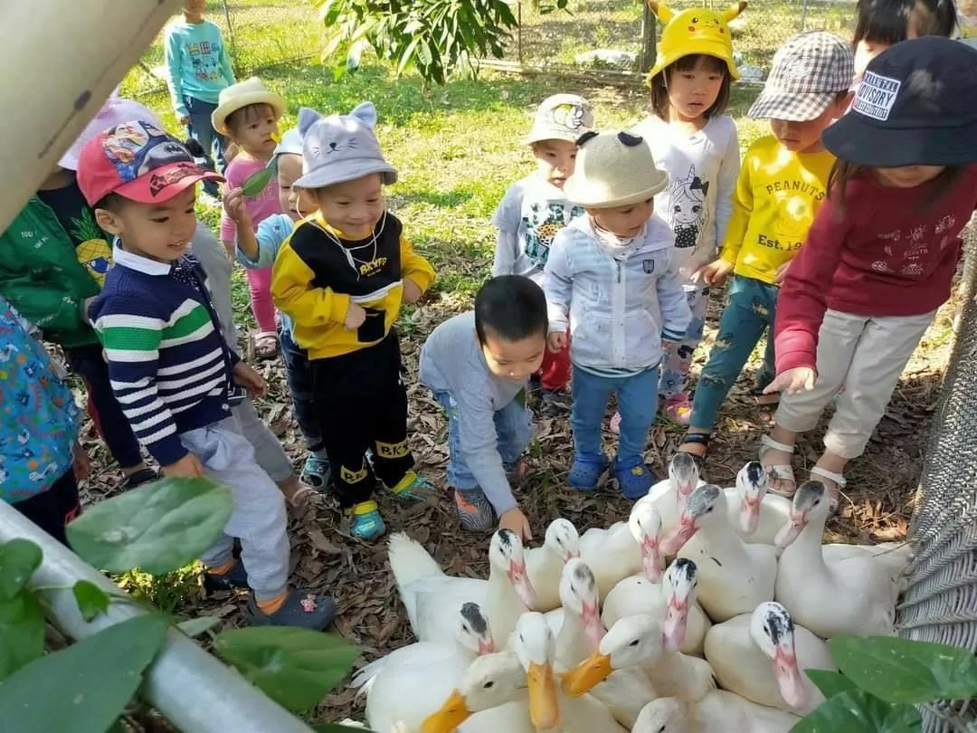 6 điểm đến nông trại giáo dục đáng trải nghiệm nhất Hà Nội