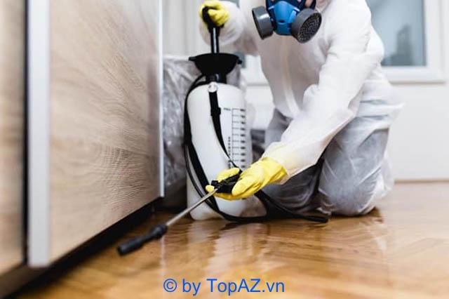 Top 5 công ty diệt mối chuyên nghiệp và giá cả hợp lý tại Quận 6