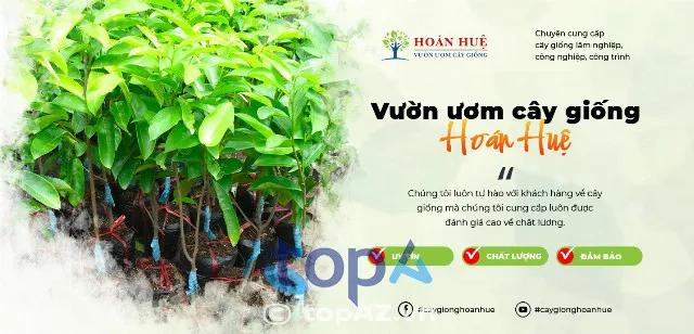 Top 5 trung tâm cung cấp giống cây trồng chất lượng tại Đồng Nai