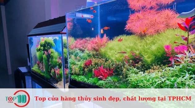 Top 10 cửa hàng thủy sinh đẹp và chất lượng tại TP.HCM