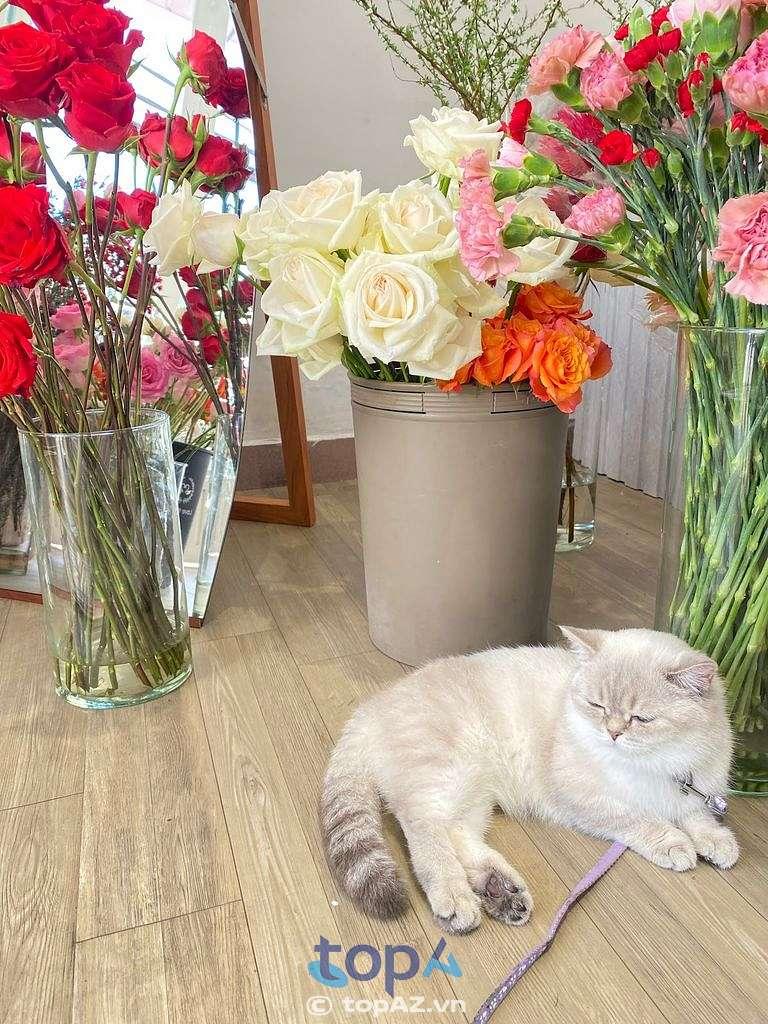 Khám phá 8 cửa hàng hoa tươi tại TP. Đà Lạt với những mẫu hoa tuyệt đẹp, dịch vụ giao hoa tận nơi