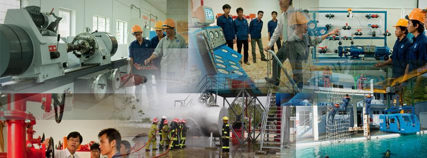 4 Ngôi Trường Cao Đẳng Xuất Sắc Nhất Tại Bà Rịa - Vũng Tàu