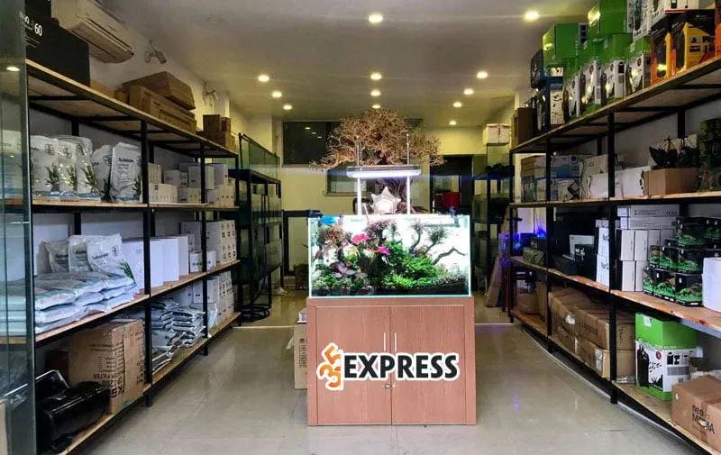 Top 10+ địa điểm mua bể cá cảnh Hà Nội: Chất lượng, giá tốt