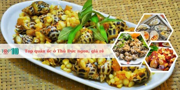 Top 8 địa chỉ ốc ngon tại Thủ Đức: Chất lượng vượt trội, giá cả hợp lý