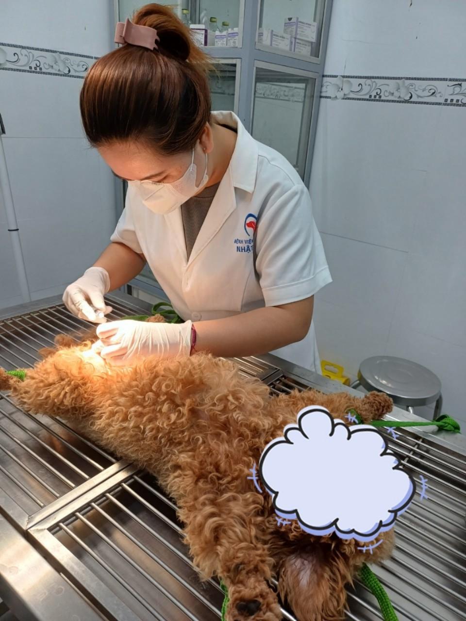Top 7 phòng khám thú y chất lượng tại Bến Tre