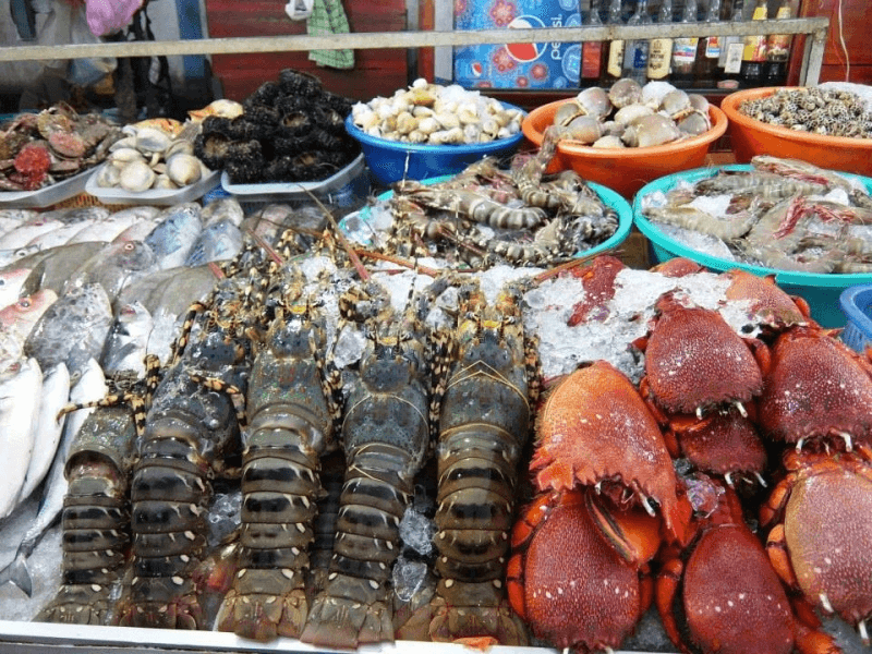 Khám Phá 5 Chợ Hải Sản Lớn Nhất Quảng Ninh