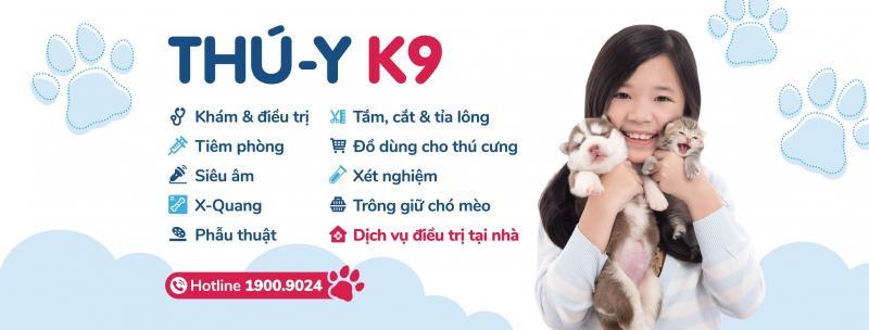 Top 3 địa chỉ phòng khám thú y đáng tin cậy nhất tại quận 1, TP.HCM