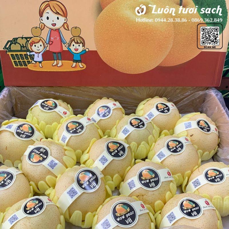 Top 8 Chuỗi Cửa Hàng Trái Cây Nhập Khẩu Chất Lượng Nhất Tại Việt Nam