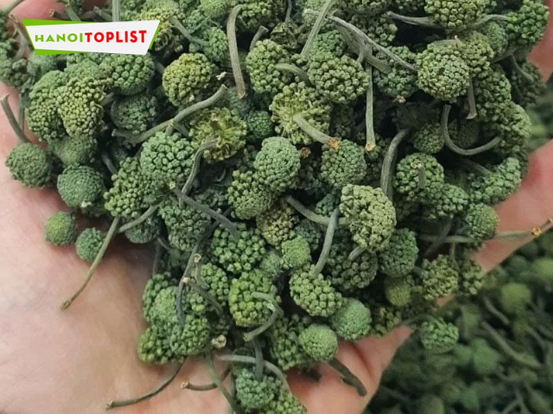 Top 5+ địa điểm cung cấp nụ tam thất Hà Nội đảm bảo chất lượng & uy tín