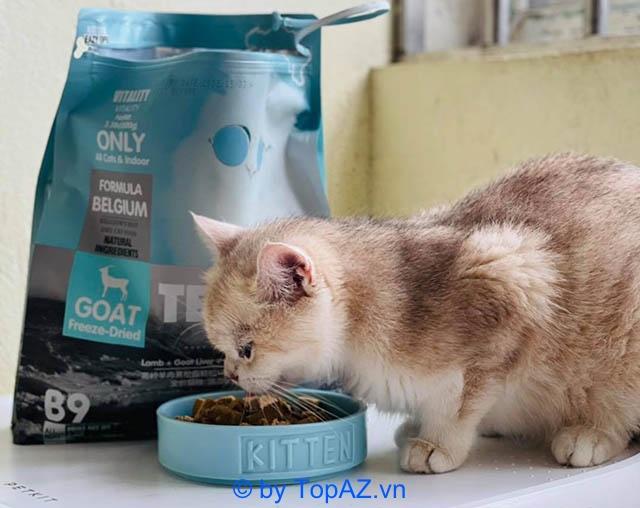 Top 5 cửa hàng thức ăn cho chó mèo chất lượng hàng đầu tại Hà Nội