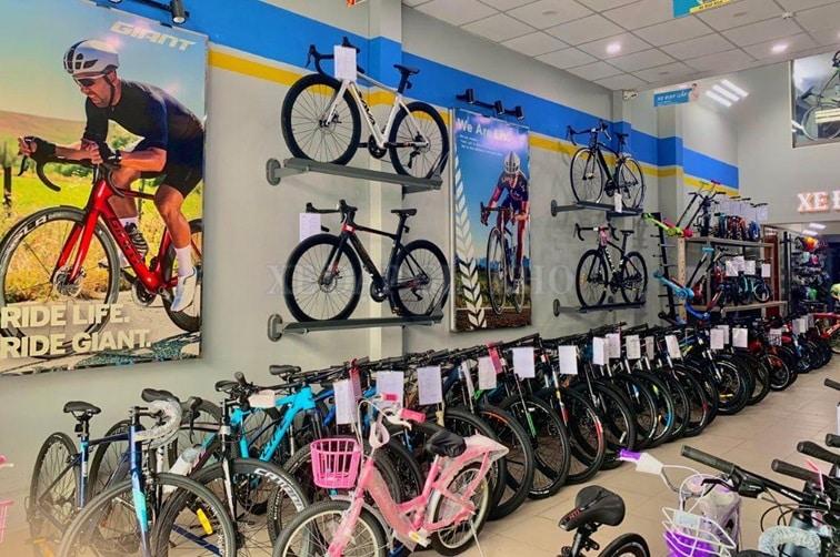 Top 4 địa chỉ bán xe đạp uy tín, giá rẻ tại Quận 10