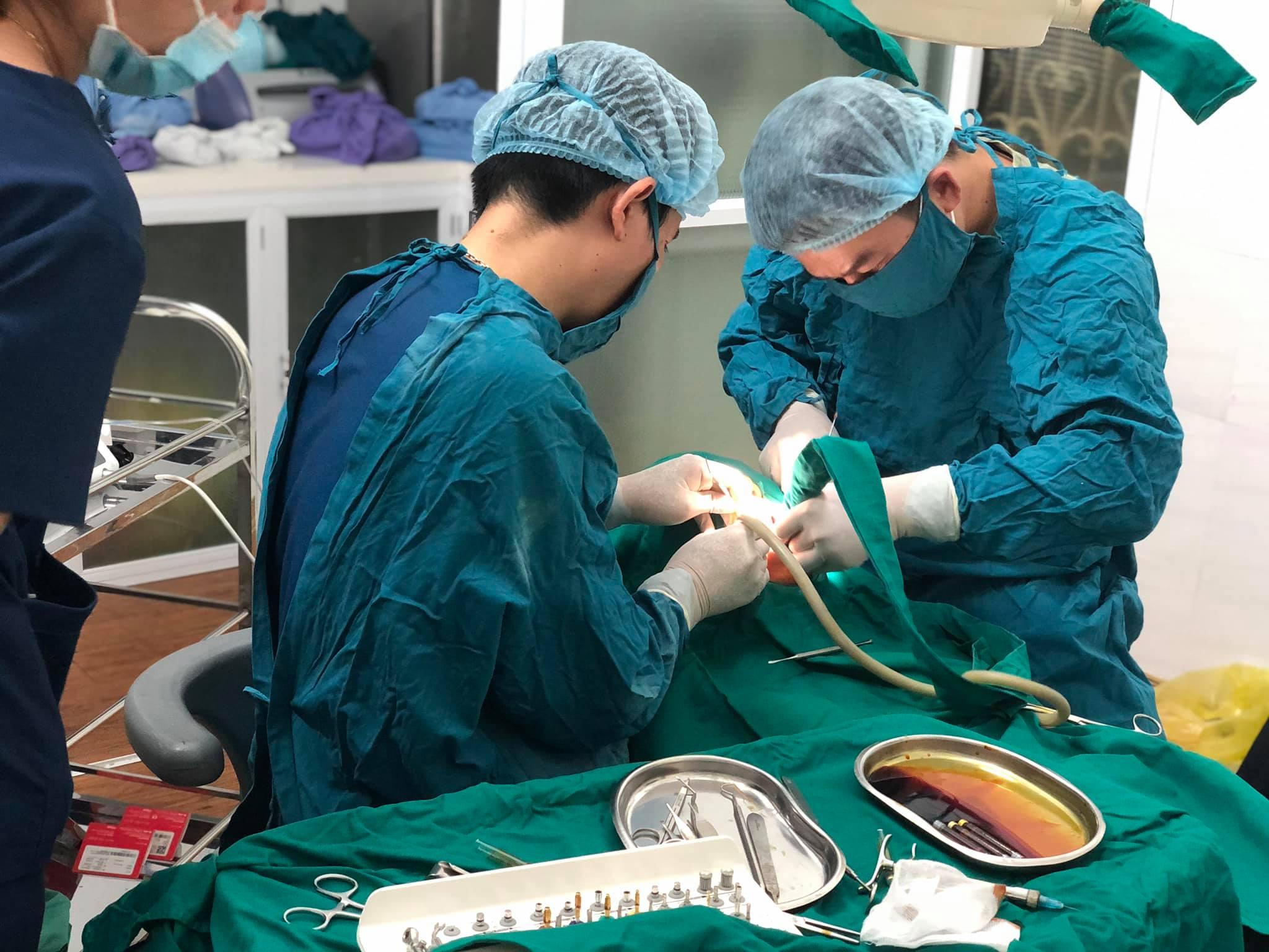 6 Địa chỉ nha khoa đáng tin cậy bậc nhất tại TP Đồng Hới, Quảng Bình