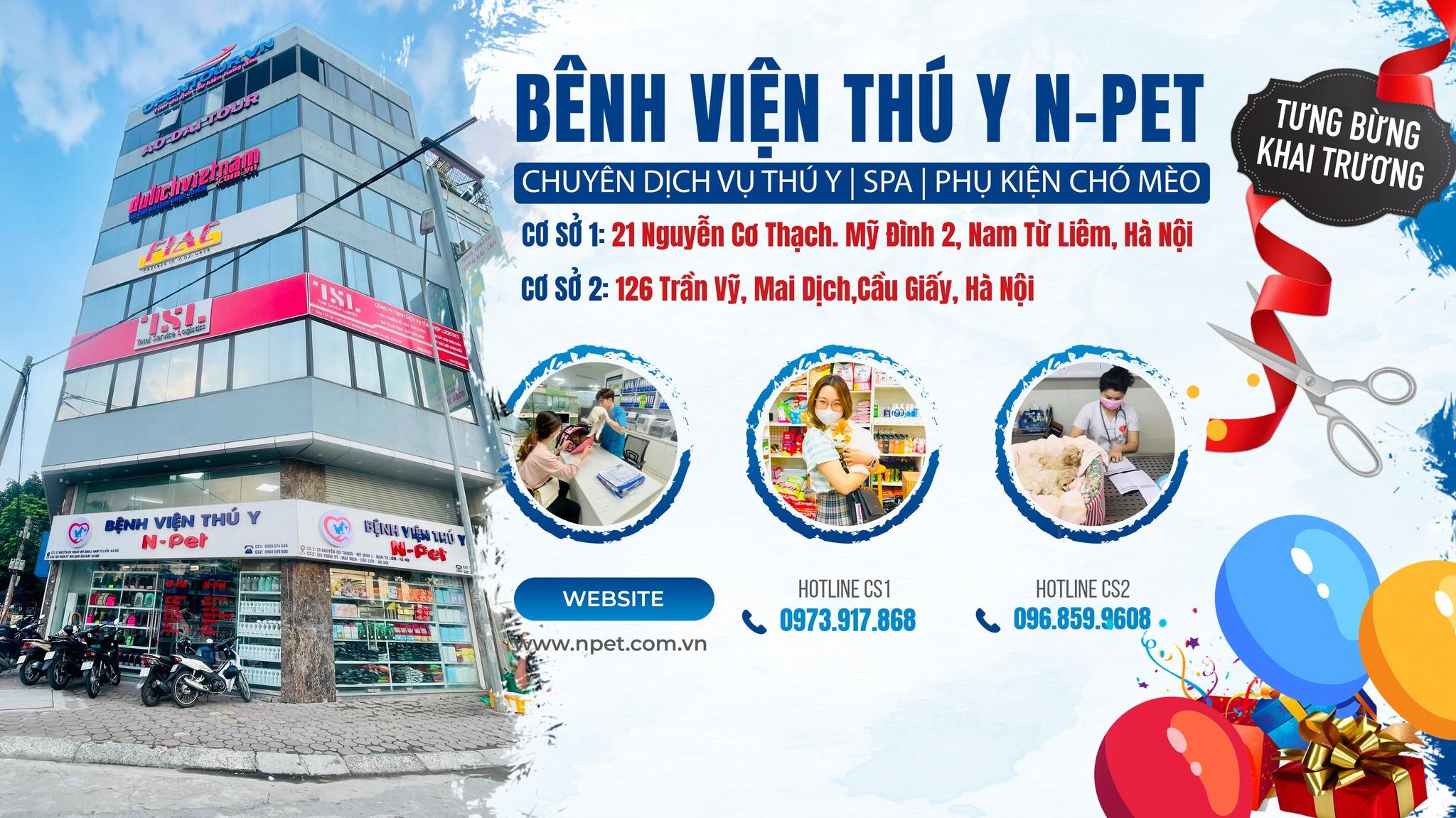 6 địa chỉ phòng khám thú y đáng tin cậy nhất tại quận Nam Từ Liêm, Hà Nội