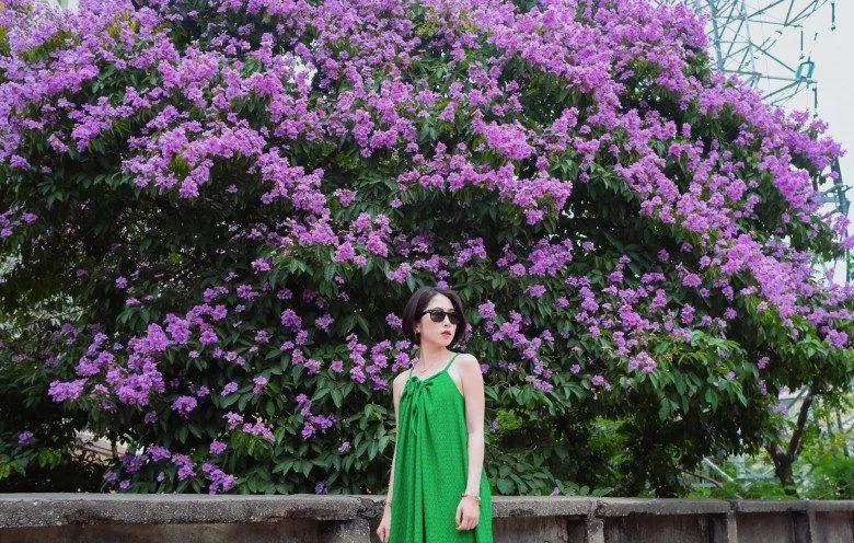 8 Con đường hoa bằng lăng đẹp nhất Hà Nội mà bạn không thể bỏ qua