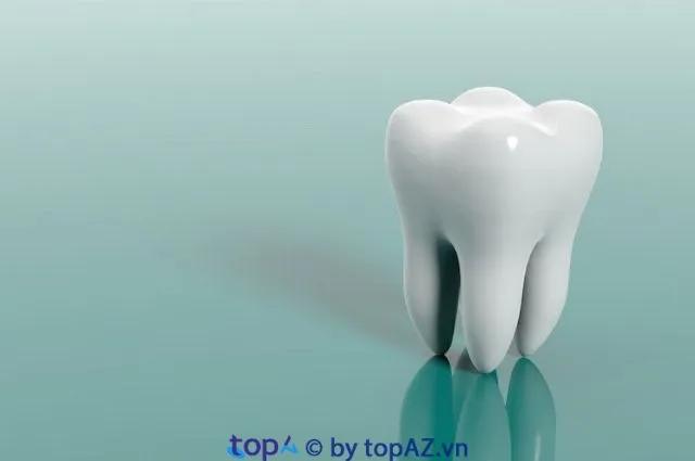 Top 5 phòng khám nha khoa uy tín tại TP. Sa Đéc, Đồng Tháp