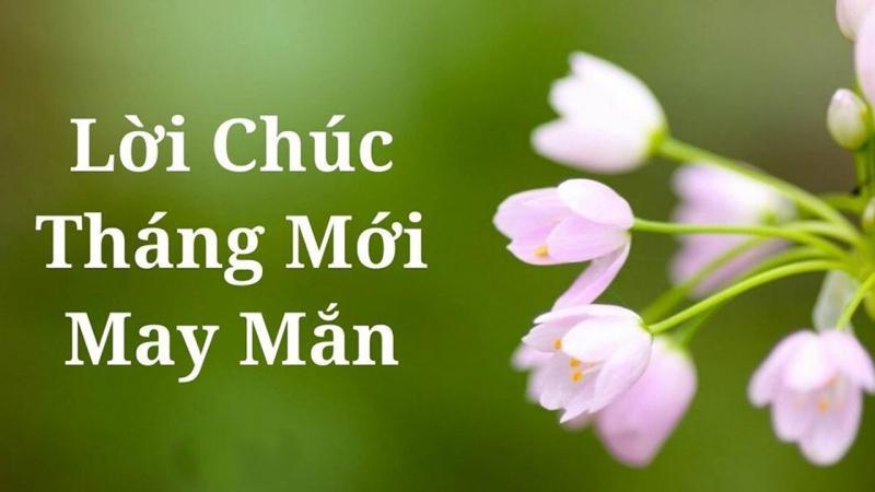 Top 10 lời chúc mùng 1 đầu tháng sâu sắc và ý nghĩa nhất