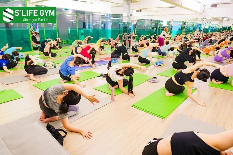 Top 8 địa chỉ học yoga chất lượng và uy tín bậc nhất tại quận 7, TP.HCM