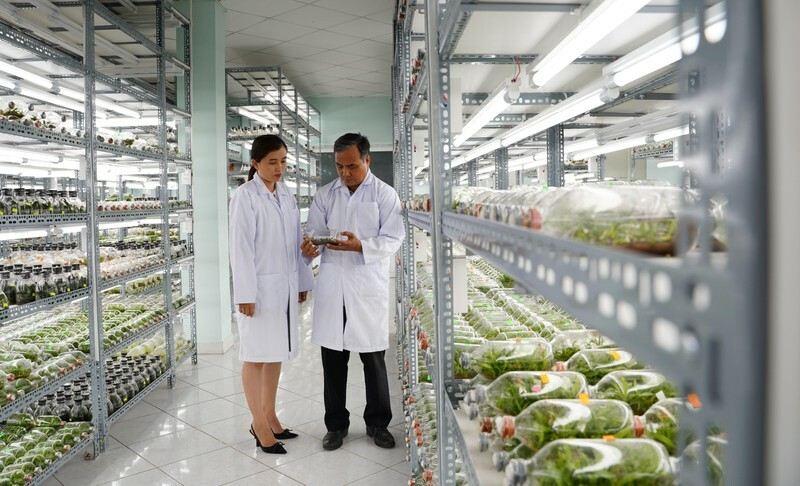 Top 5 địa chỉ cung cấp giống cây trồng chất lượng nhất khu vực Miền Bắc